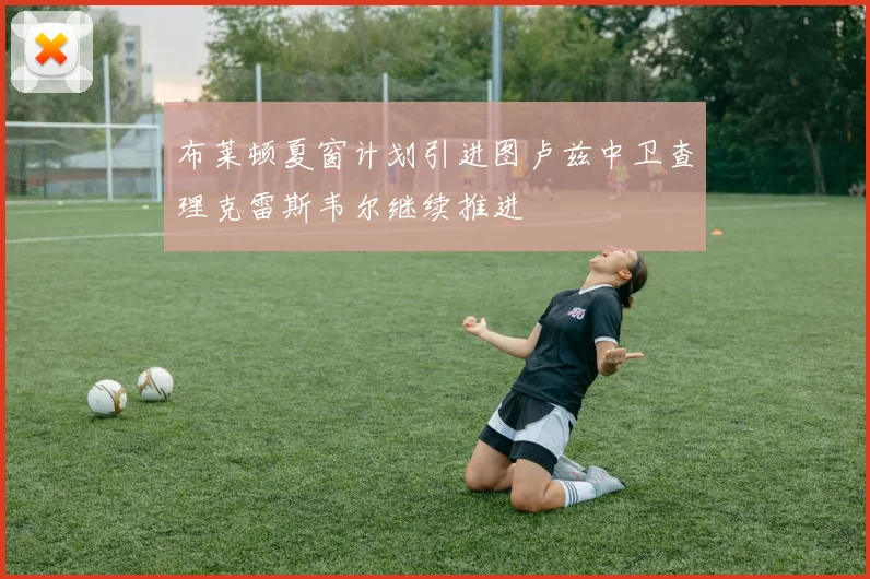布莱顿夏窗计划引进图卢兹中卫查理克雷斯韦尔继续推进